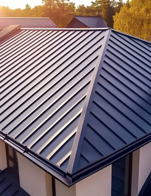 Modern metal roof on a Calgary home at sunset.